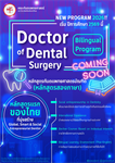 Doctor of Dental Surgery (Bilingual Program) หลักสูตรทันตแพทยศาสตรบัณฑิต (หลักสูตรสองภาษา)